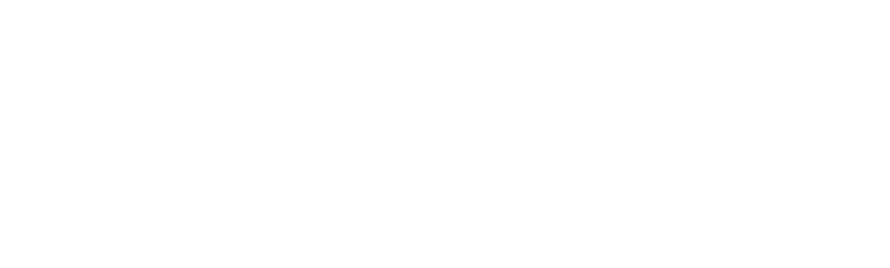 The Press Whisperer